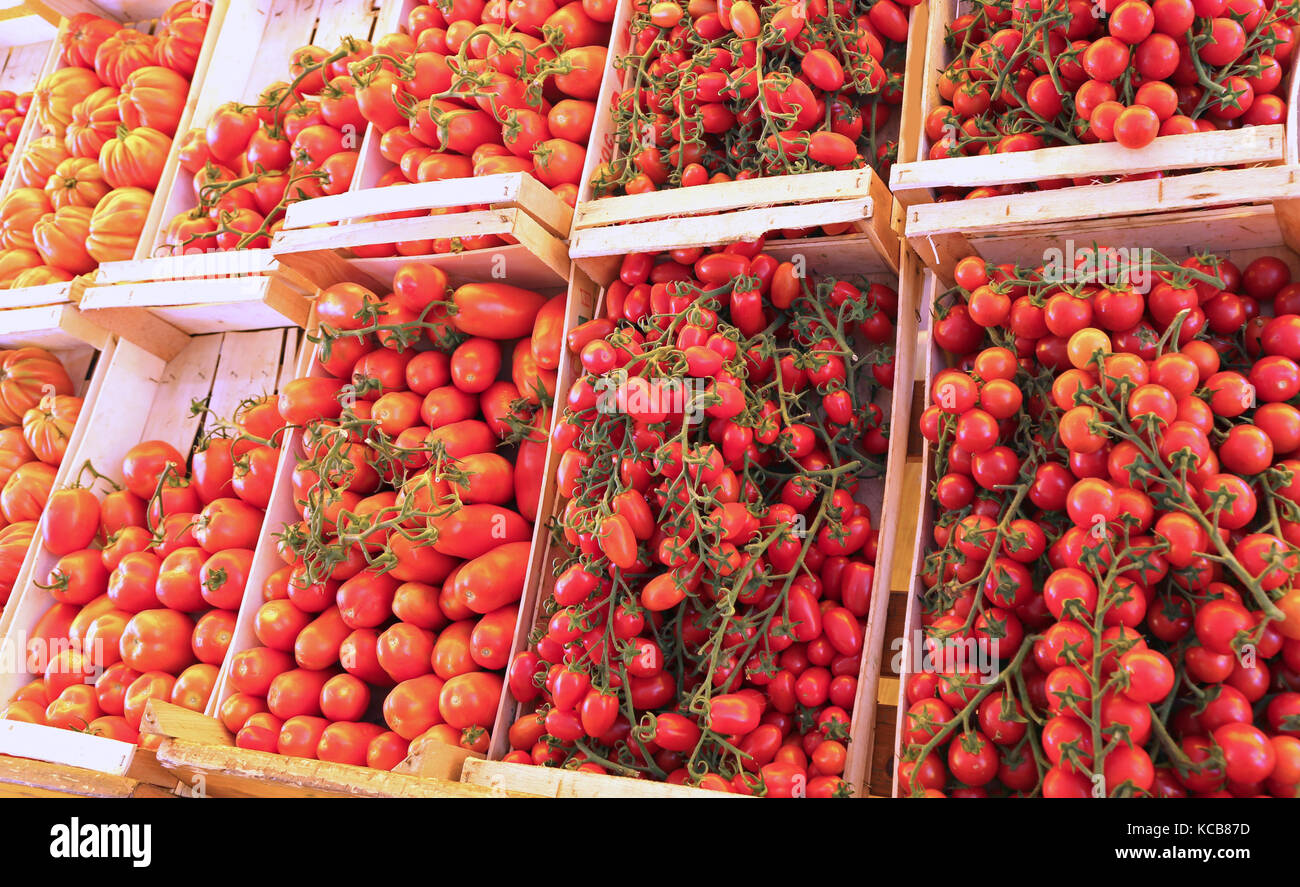 many boxes with red ripe tomatoes for sale in vegetable market Stock ...