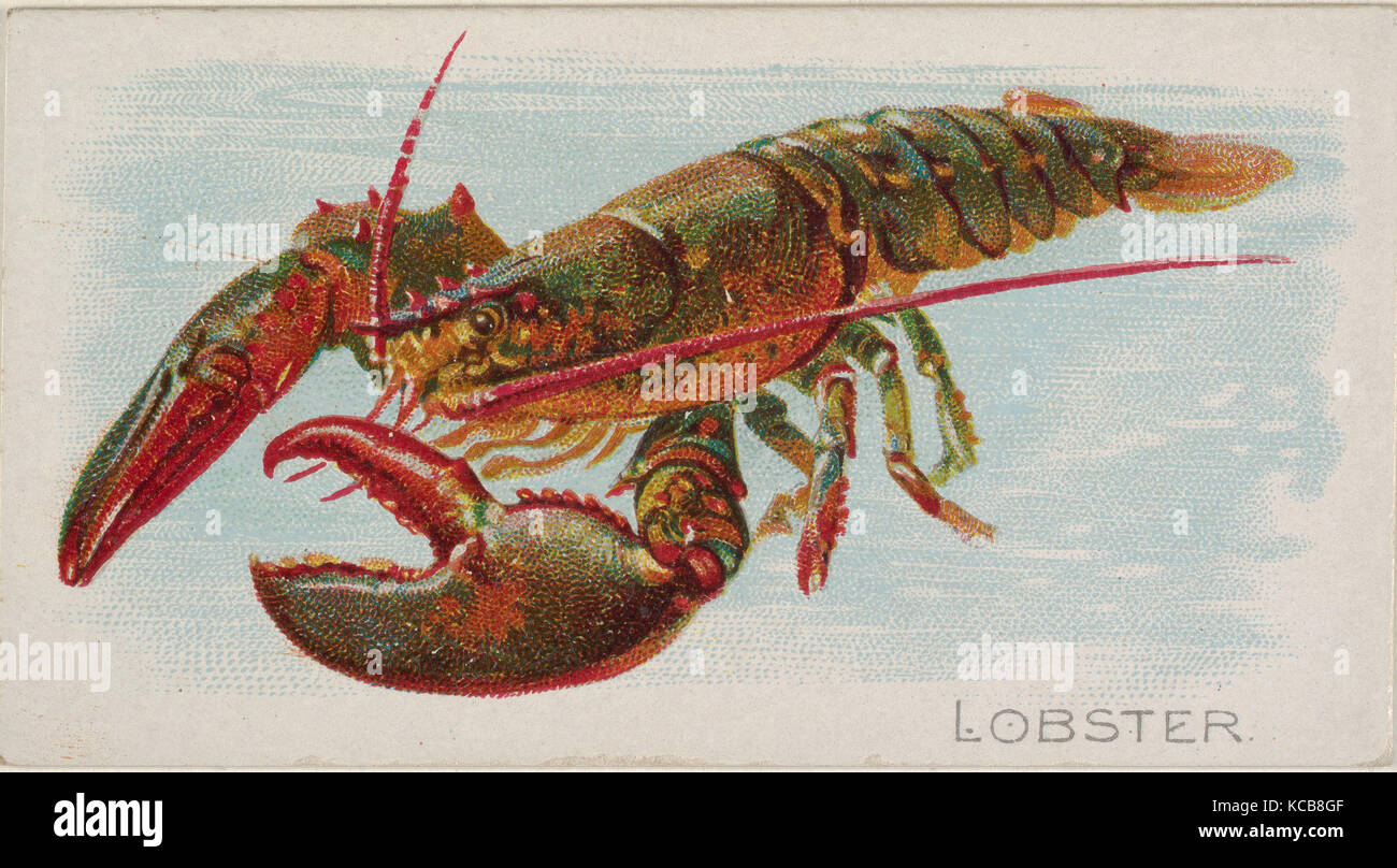 Lobster from fish american hi-res stock photography and images - Alamy