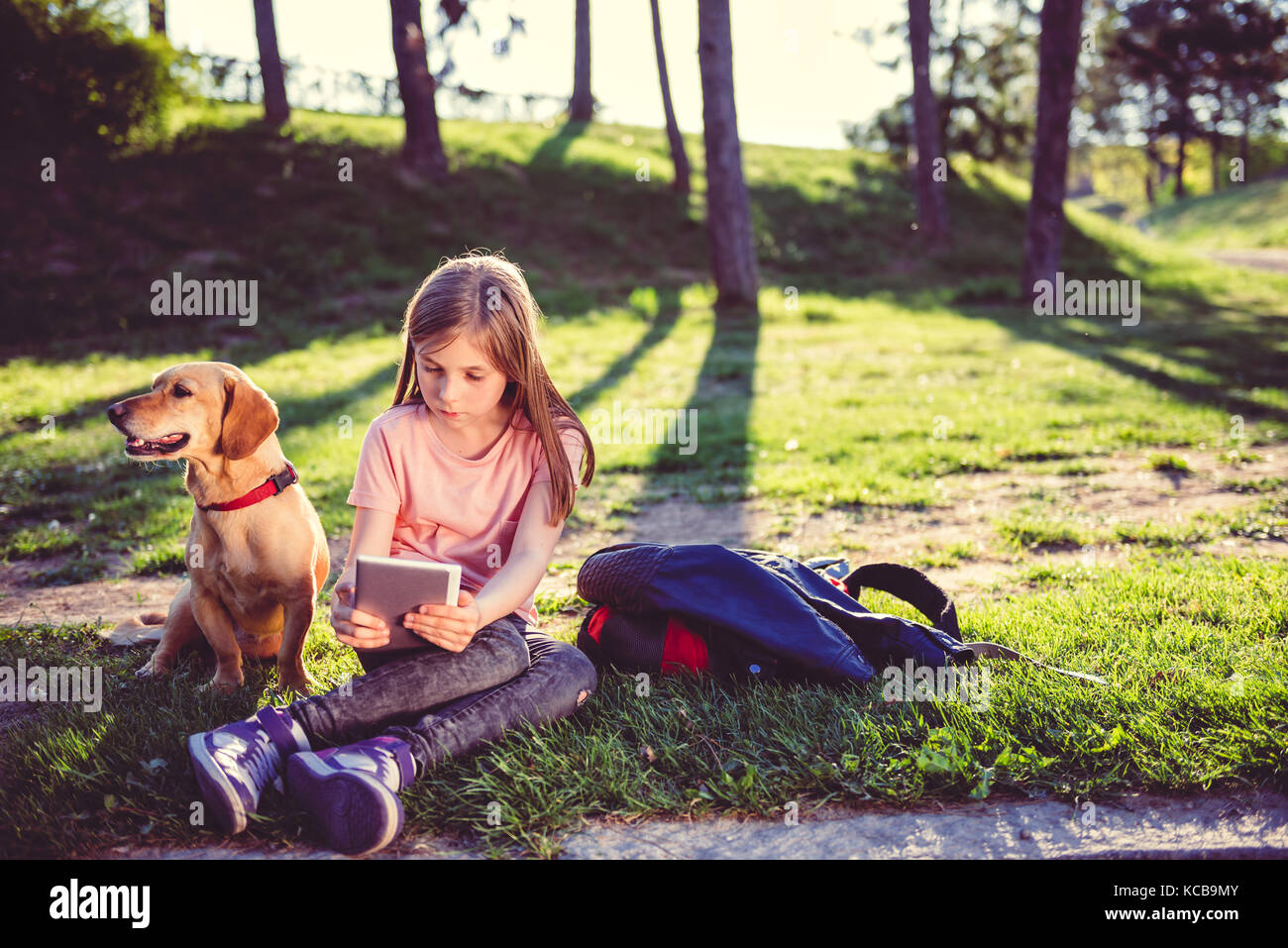 Girl sitting in the park with a dog and using tablet Stock Photo - Alamy