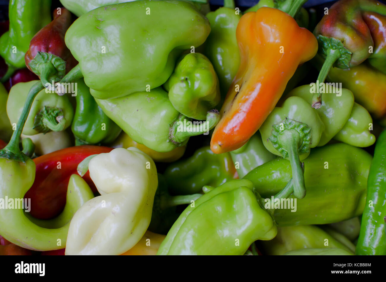 pile of red and green peppers isolated Stock Photo - Alamy