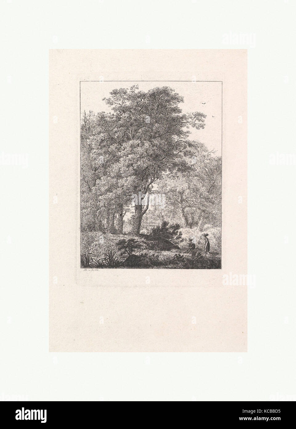 Forest Landscape, n.d., Etching, sheet: 12 5/16 x 8 15/16 in. (31.3 x 22.7 cm), Prints, Domenico Quaglio II (German, Munich 1787 Stock Photo