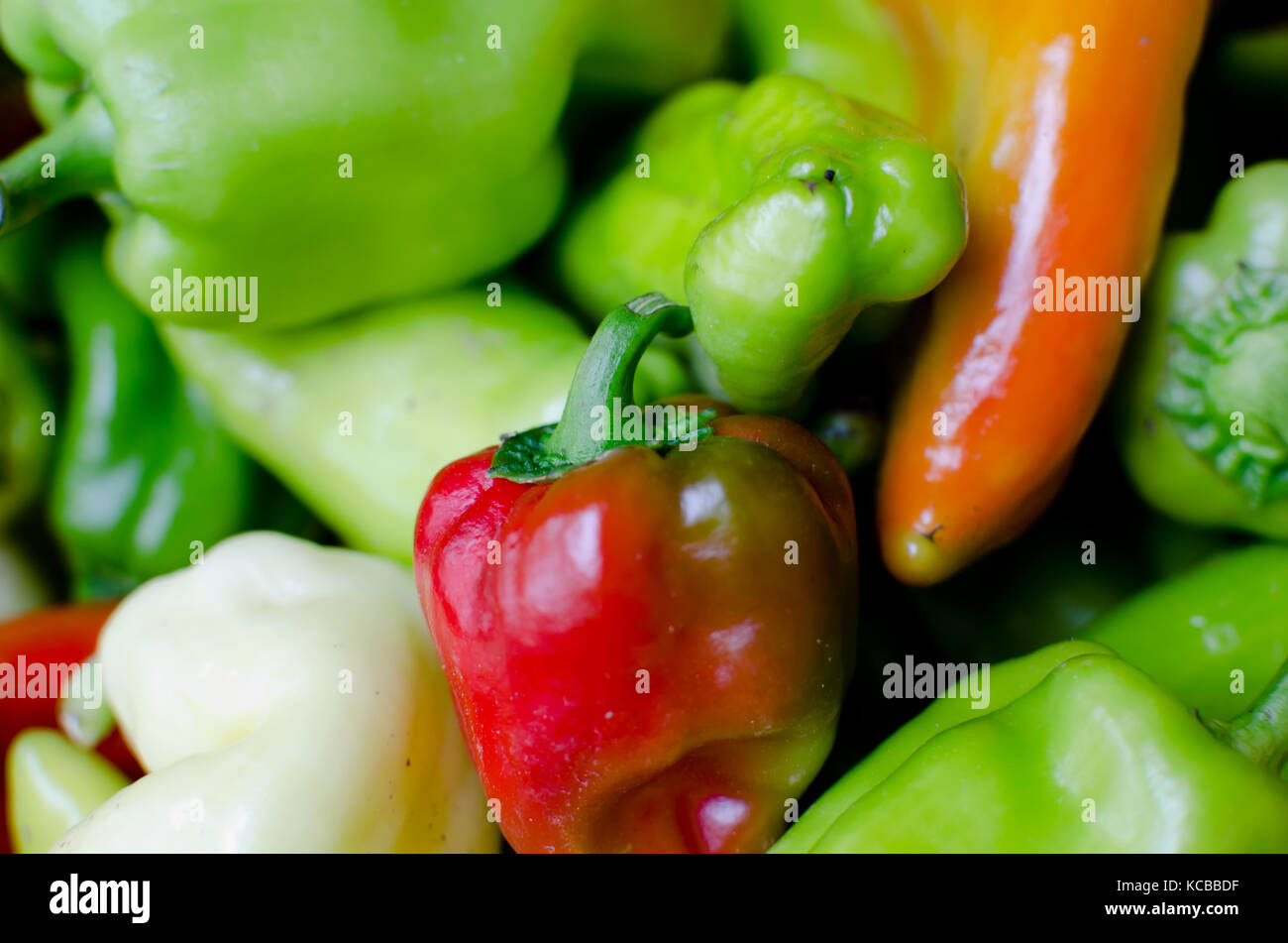 pile of red and green peppers isolated Stock Photo - Alamy