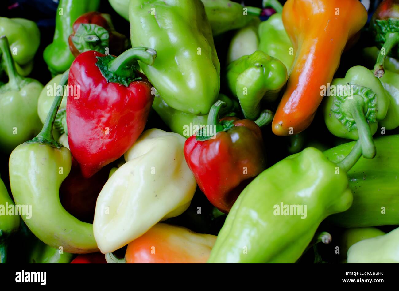 pile of red and green peppers isolated Stock Photo - Alamy