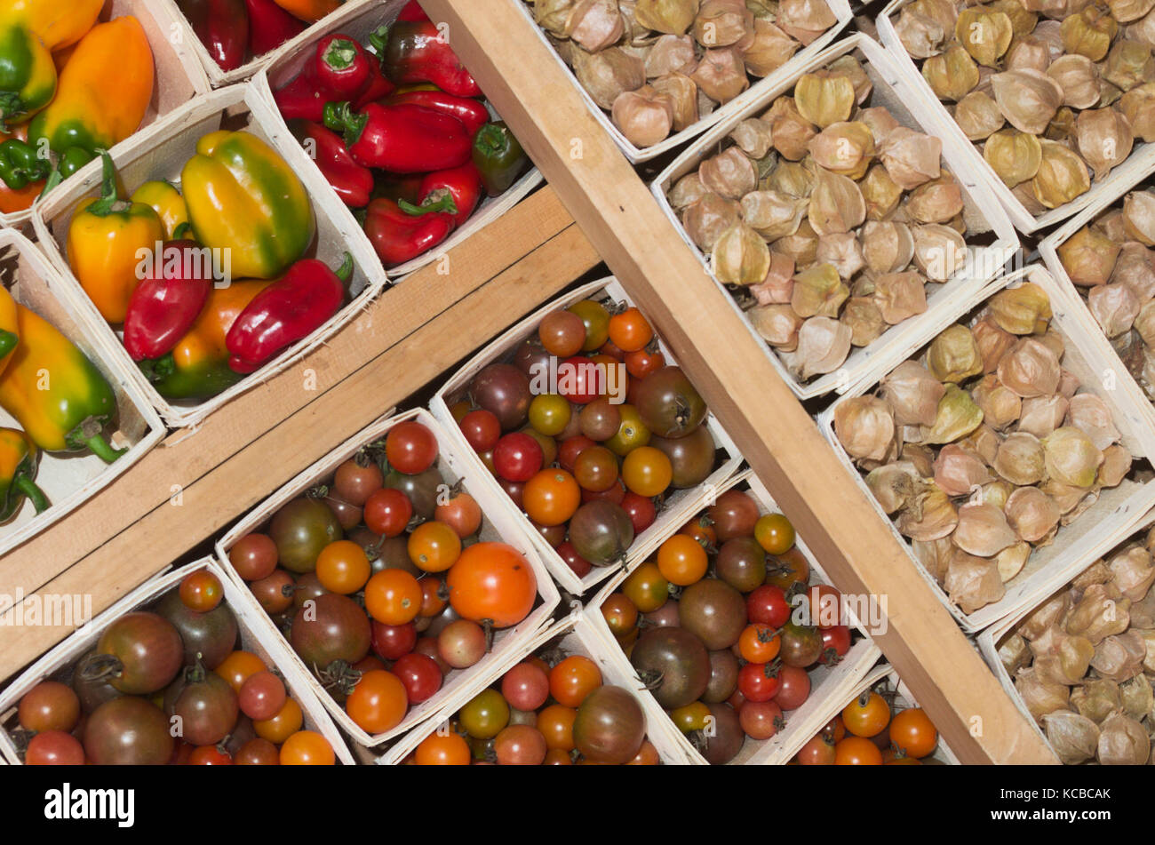 Tomate individual hires stock photography and images Alamy