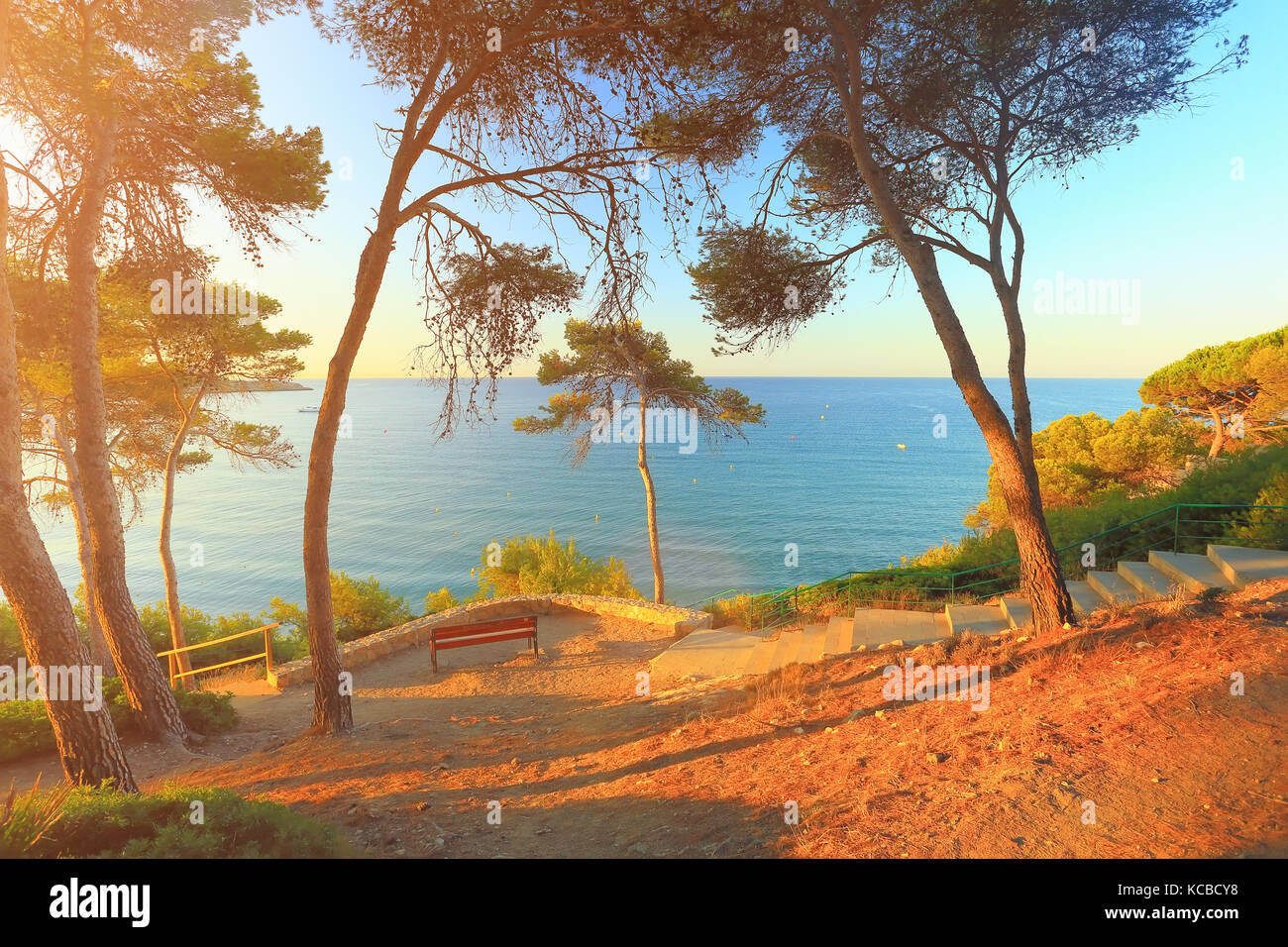 Sunny morning on spanish costa dorada beach. South pine trees on sea background. Nature of coastline of Salou resort. Stock Photo