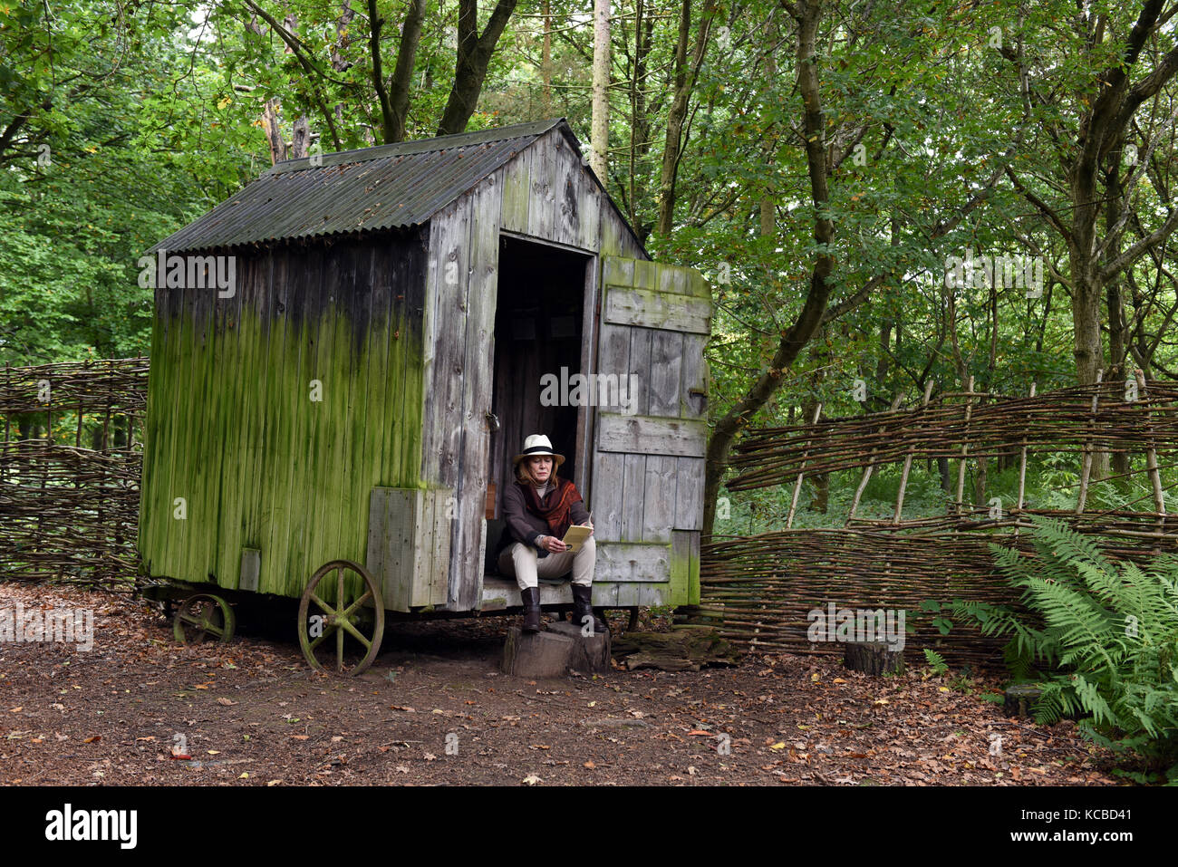 Woman relaxing with book on woodland garden shed on wheels Britain Uk secluded seclusion isolation hideaway rural retreat Stock Photo