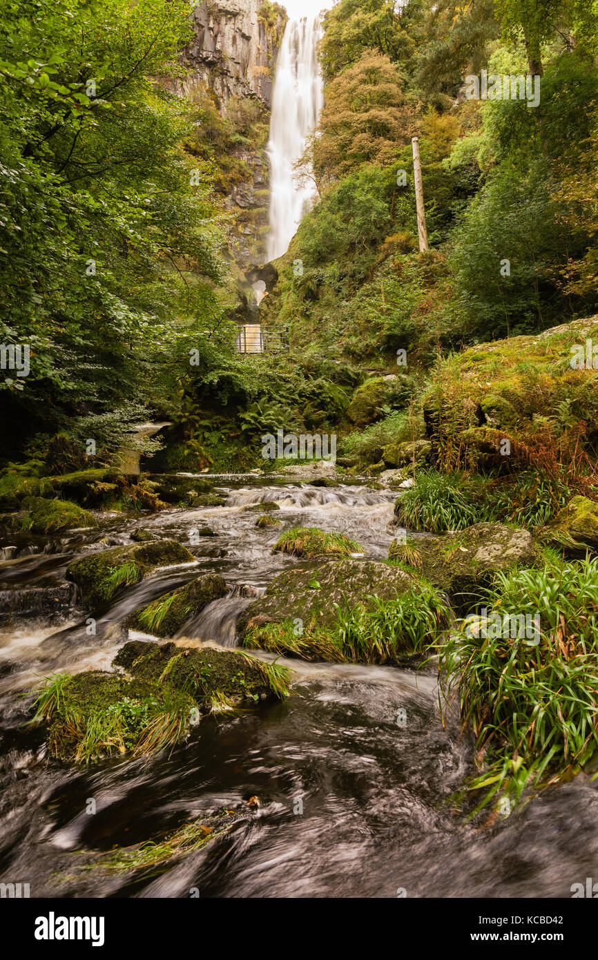 Pistyll Rhaeadr waterfall in Llanrhaeadr ym Mochnant Powys where the river Afon Disgynfa drops 240 feet also listed as one of the Seven Wonders of Wal Stock Photo
