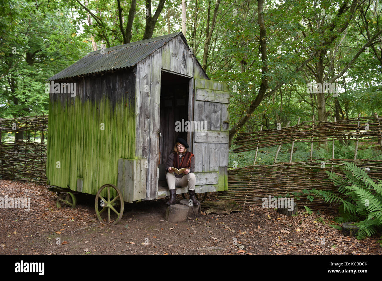 Woman relaxing at woodland garden shed on wheels Britain Uk secluded seclusion isolation hideaway rural retreat Stock Photo