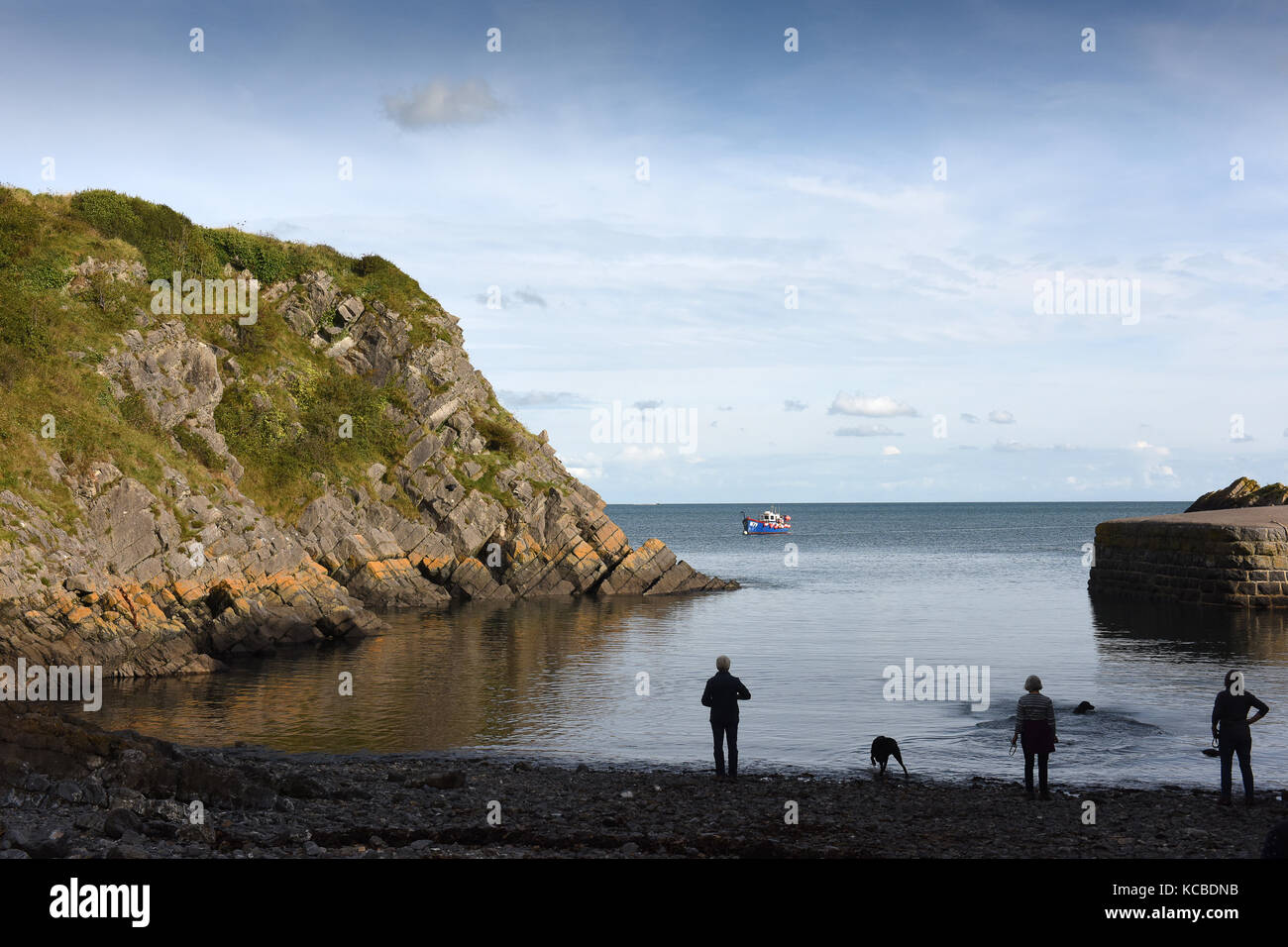 Stackpole Quay in Pembrokeshire, West Wales, Uk Stock Photo - Alamy