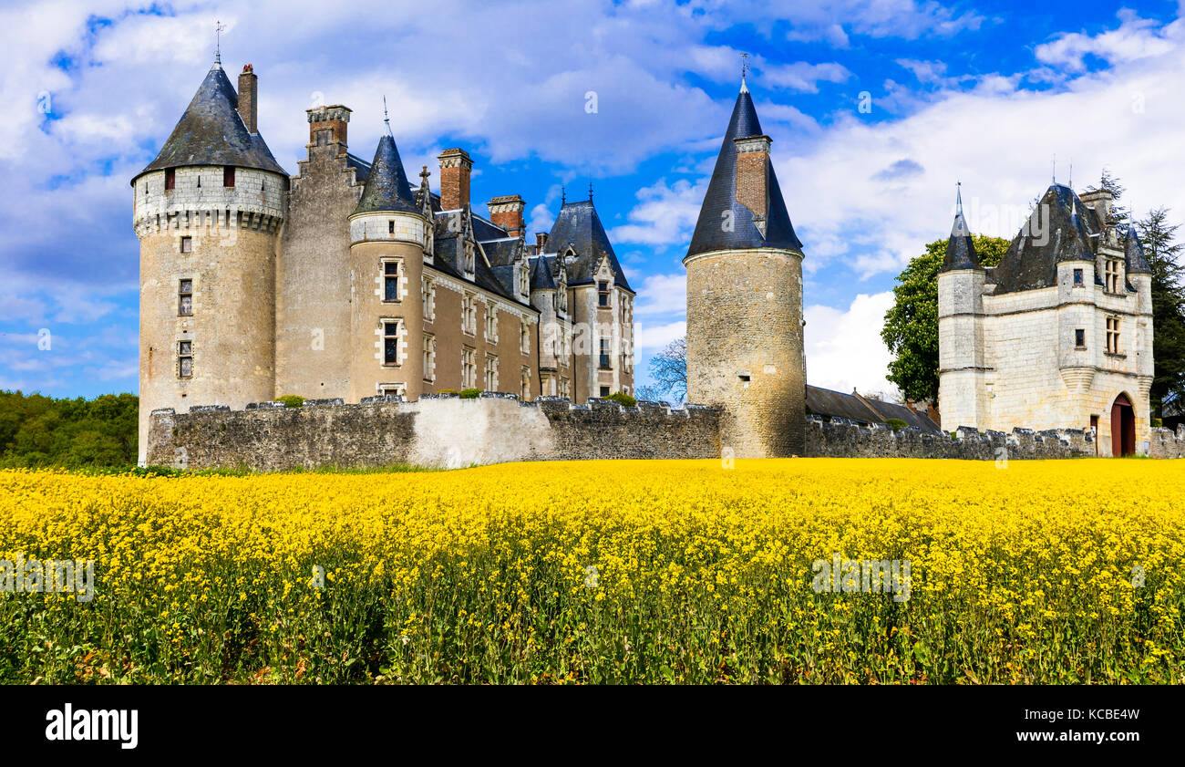 Beautiful Montpoupon castle,Loire valley,view with gardens,France. Stock Photo