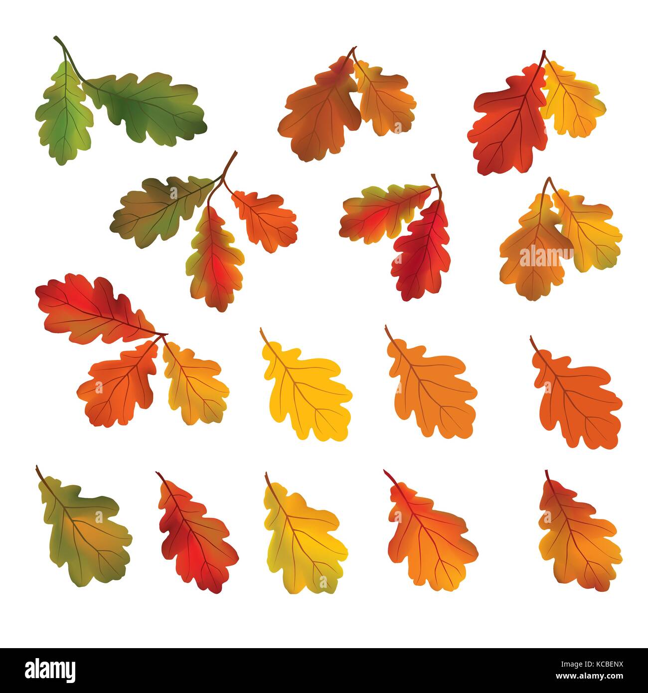 Autumn leaves isolated on white background. Fall icon. Nature decor with oak leaf set. Stock Vector