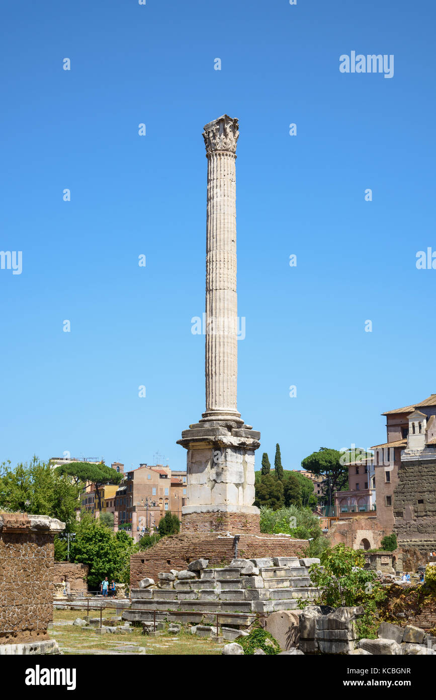 Column of Phocas, Rome, Italy Stock Photo