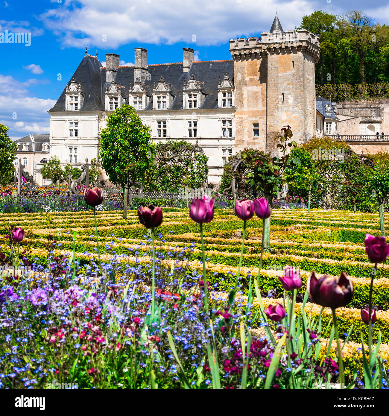 Beautiful Villandry castle,Loire valley,view with gardens,France. Stock Photo