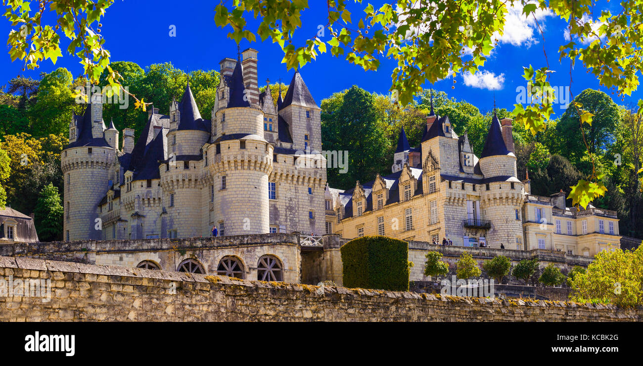 Beautiful Usse medieval castle,Loire valley,France. Stock Photo