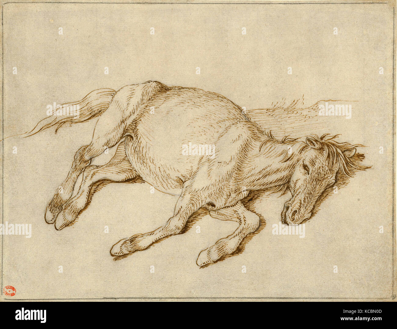 Steve Messenger on LinkedIn: #ink #inked #drawing #drawings #painting  #paintings #horses #equestrian…