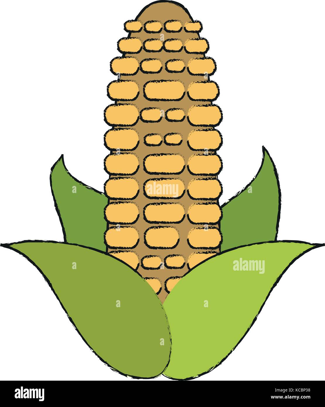 Corn fresh vegetable Stock Vector Image & Art - Alamy