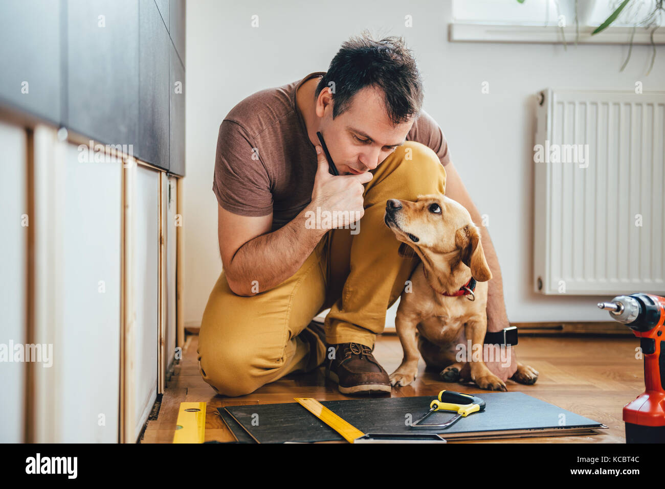 Man doing renovation work at home together with his small yellow dog Stock Photo