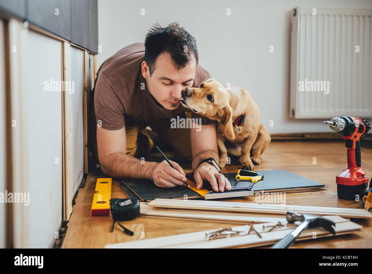 Man doing renovation work at home together with his small yellow dog Stock Photo