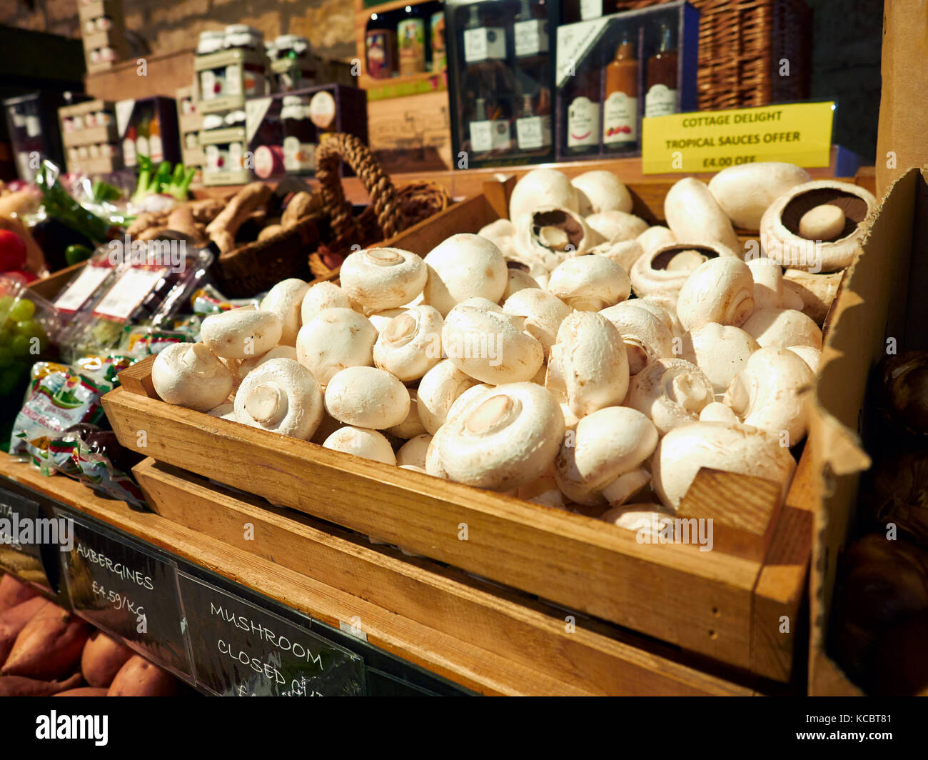 Mushroom farm hires stock photography and images Alamy