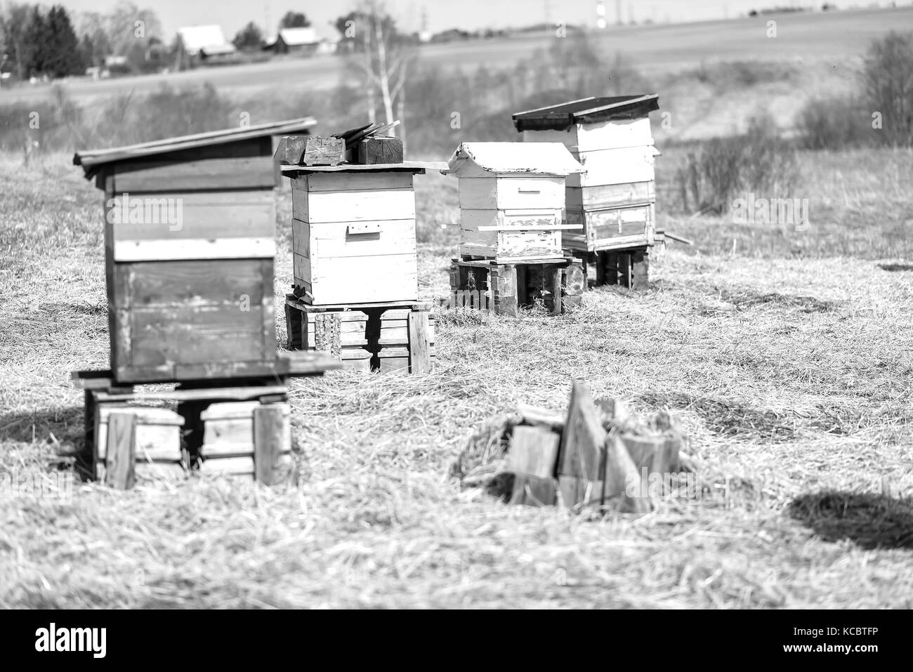 Bee hive standing in field Stock Photo Alamy