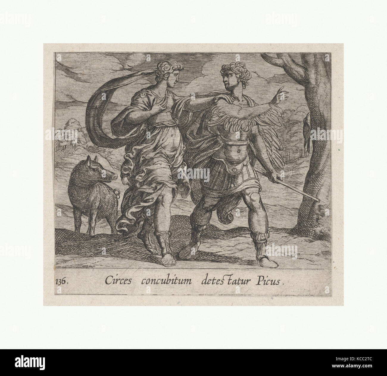Picus Origin Circe changing picus hi-res stock photography and images - Alamy