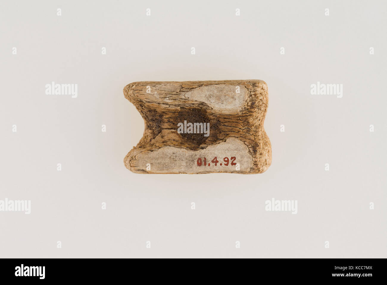 Knuckle Bone, Early Dynastic Period, Dynasty 1, ca. 3100–2900 B.C., From Egypt, Northern Upper Egypt, Abydos, Egypt Exploration Stock Photo