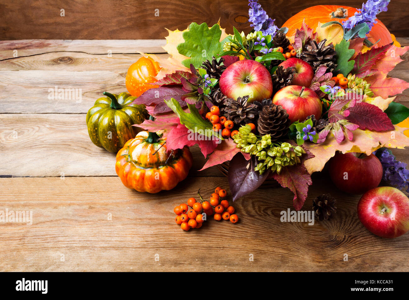 Thanksgiving or fall greeting background with ripe apples, rowan berries, green seeds, blue flowers, pumpkins, leaves Stock Photo