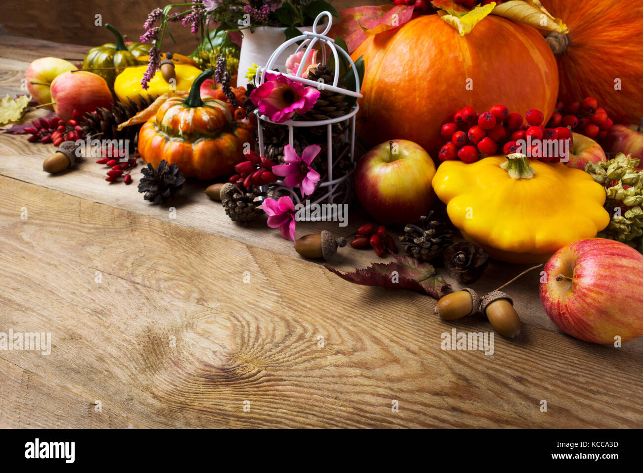 Fall arrangement with pumpkins, rowan berries, barberry, clower, birdcage decorated cones and pink flower, copy space Stock Photo