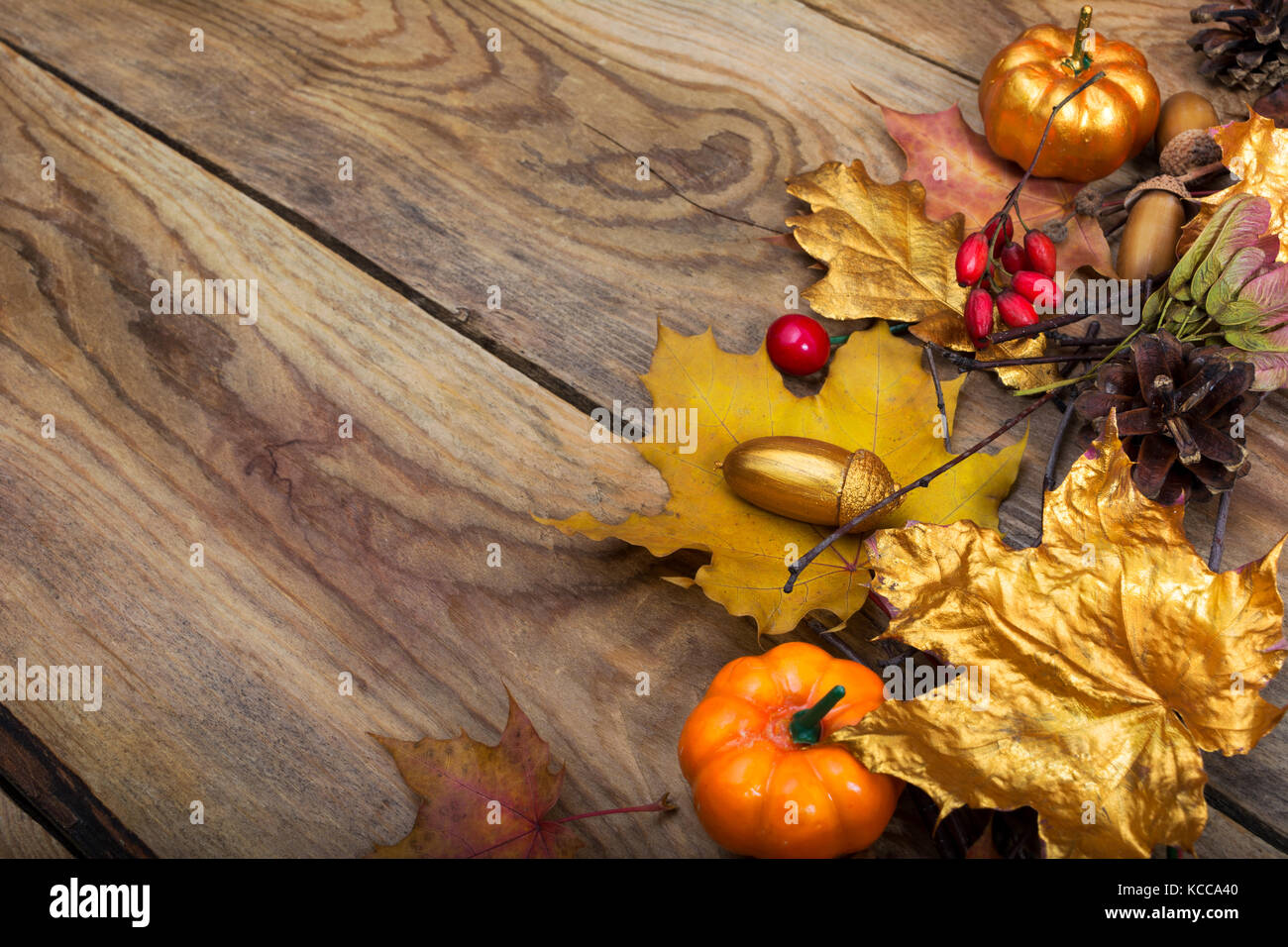 Thanksgiving background with golden maple leaves and pumpkins on the ...