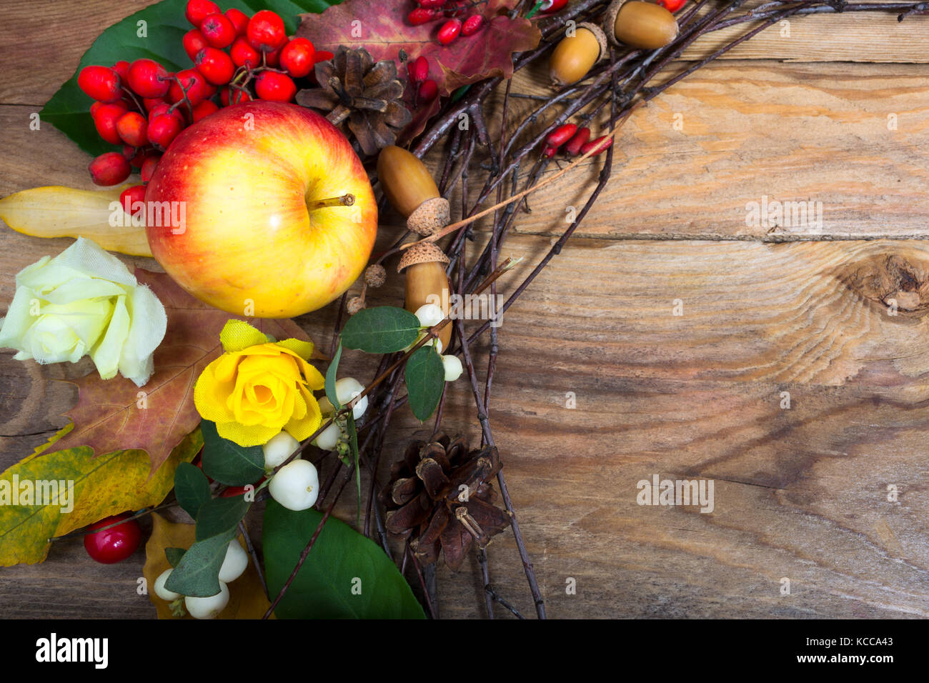 Thanksgiving background with apple, rowan berries, acorns and yellow rose on the wooden table, copy space Stock Photo