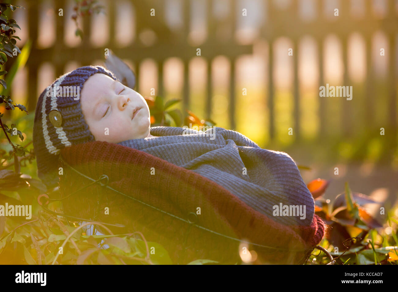Little newborn baby boy, wrapped in scarf, lying in basket in forest, Amanita Muscaria mushrooms next to him Stock Photo