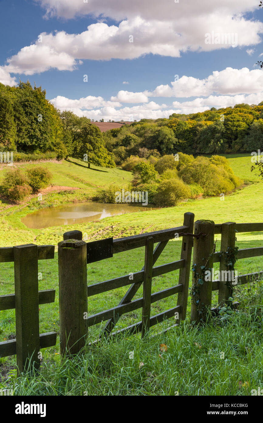 Givendale Woods and Pasture on the East Yorkshire wolds Stock Photo Alamy