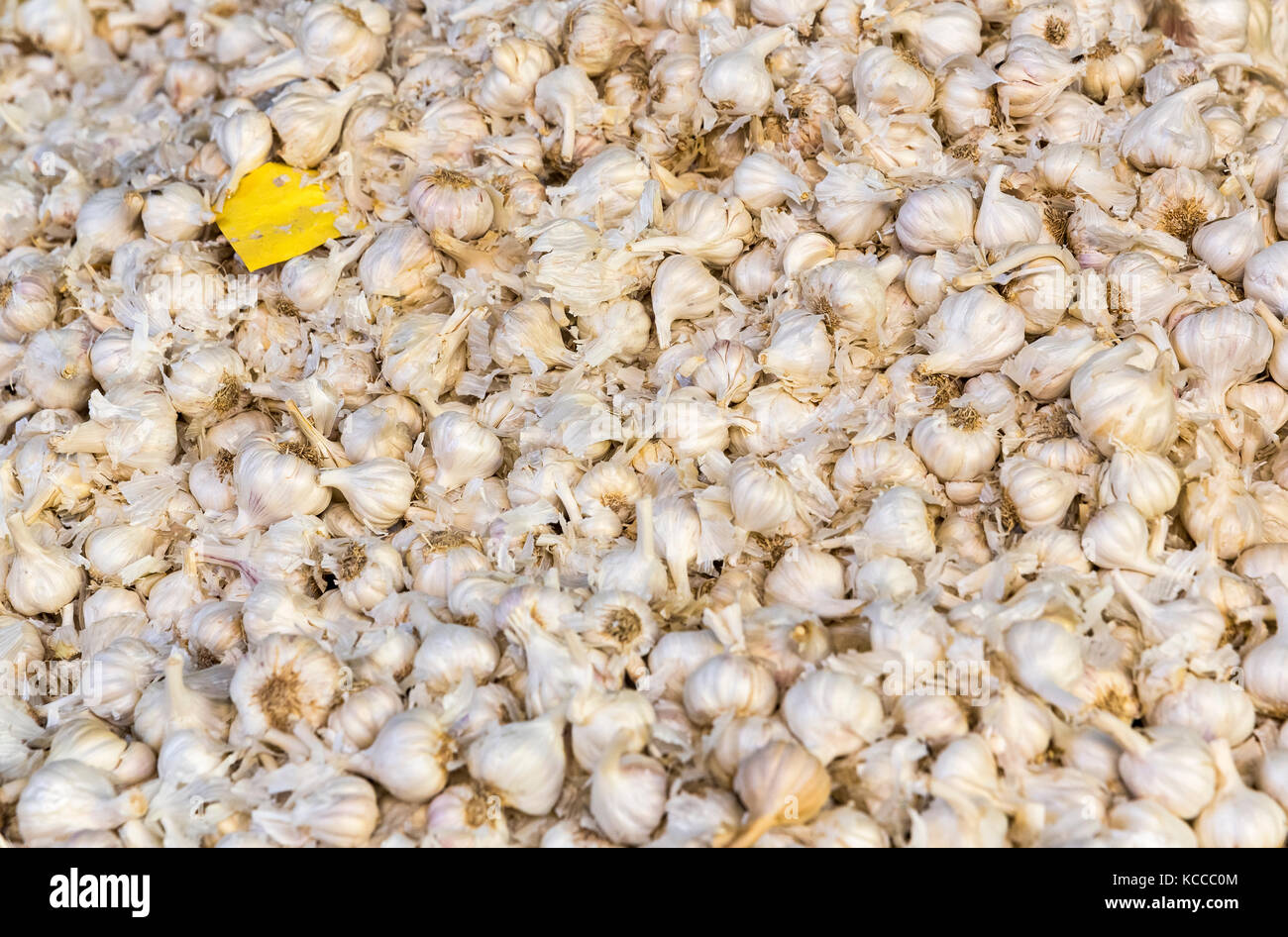 Garlic cloves in the market in India Stock Photo Alamy