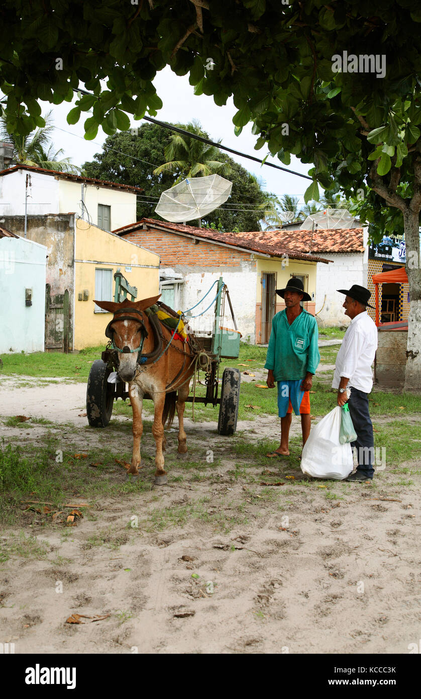 Two brazilians with mule cart in Canavieiras, Bahia, Brazil, South Amerika Stock Photo