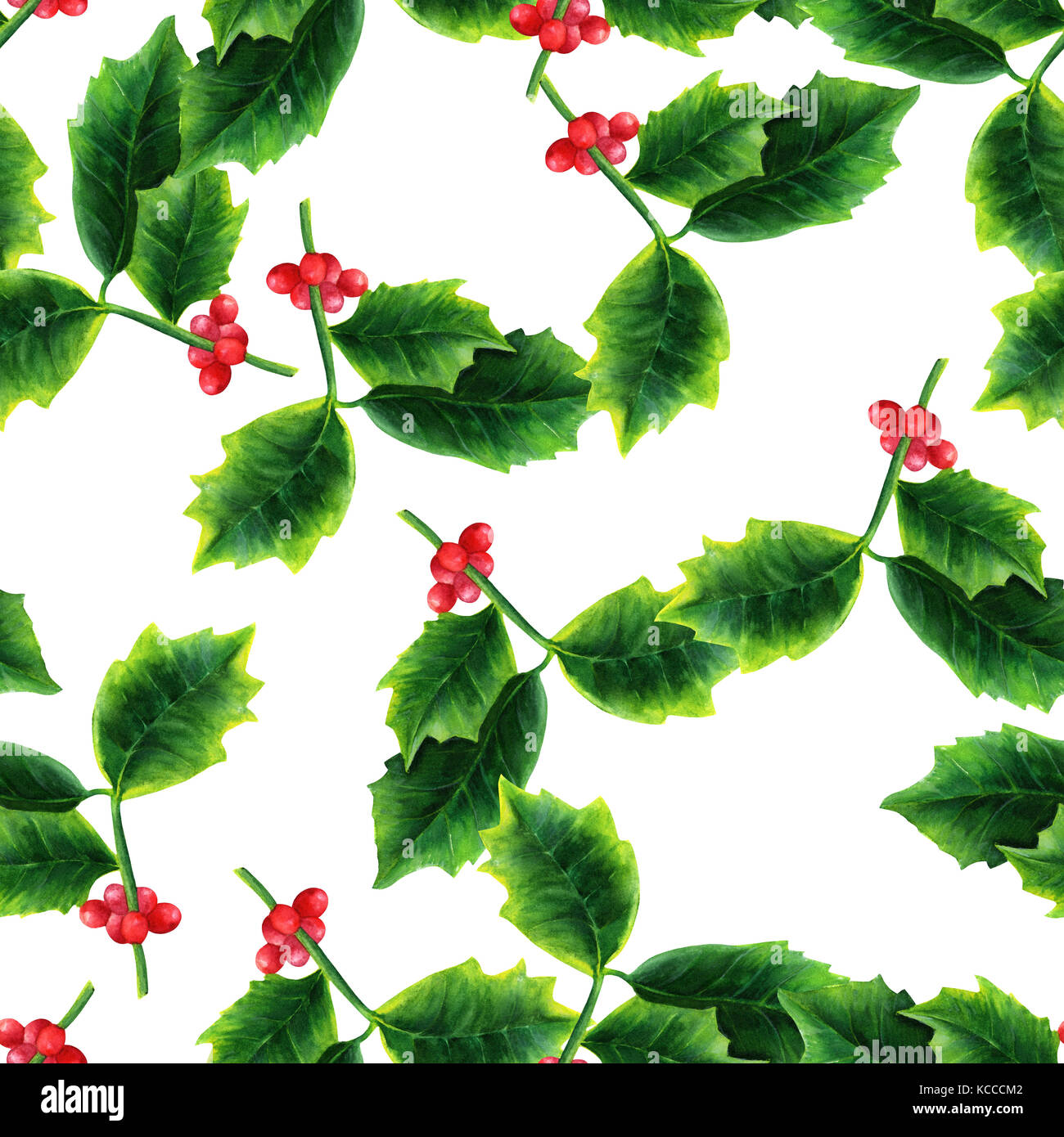 Seamless pattern with watercolor drawing of Christmas holly Stock Photo ...