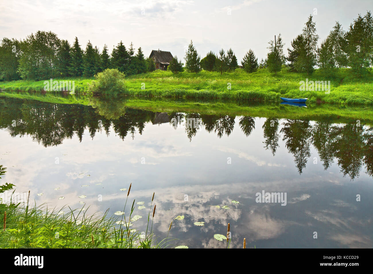 View on river with trees and bush on riverside reflecting in calm water. Karelia, Russia. Stock Photo