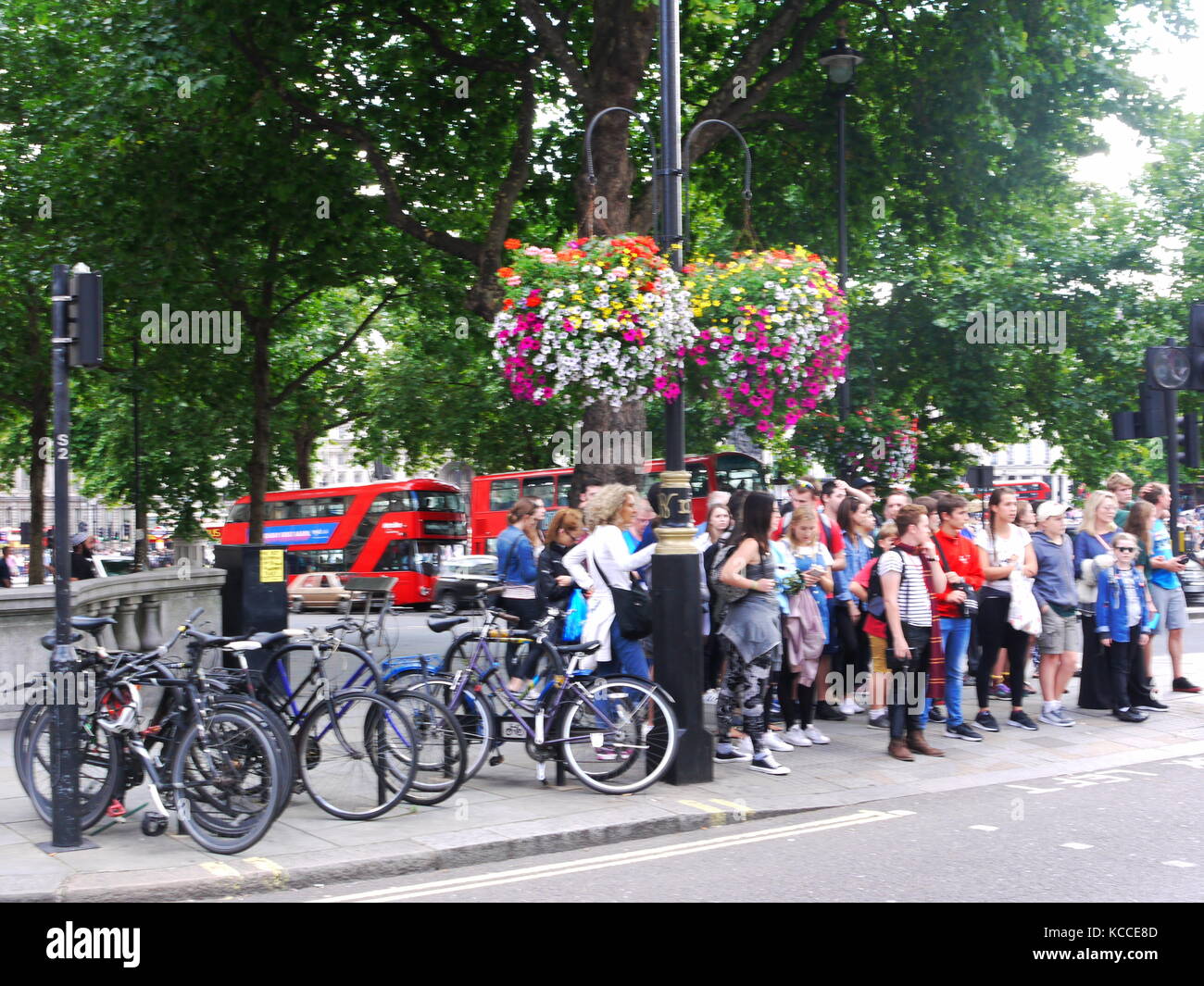 Trafalgar Square London Stock Photo - Alamy