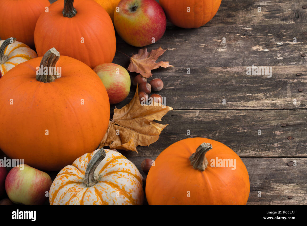 Autumn harvest still life with pumpkins, apples, hazelnut and maple ...