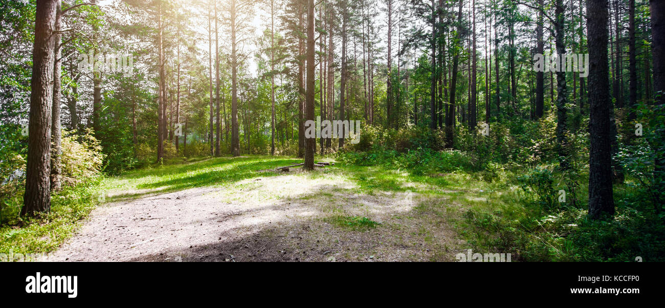 Plants ecology hi-res stock photography and images - Alamy