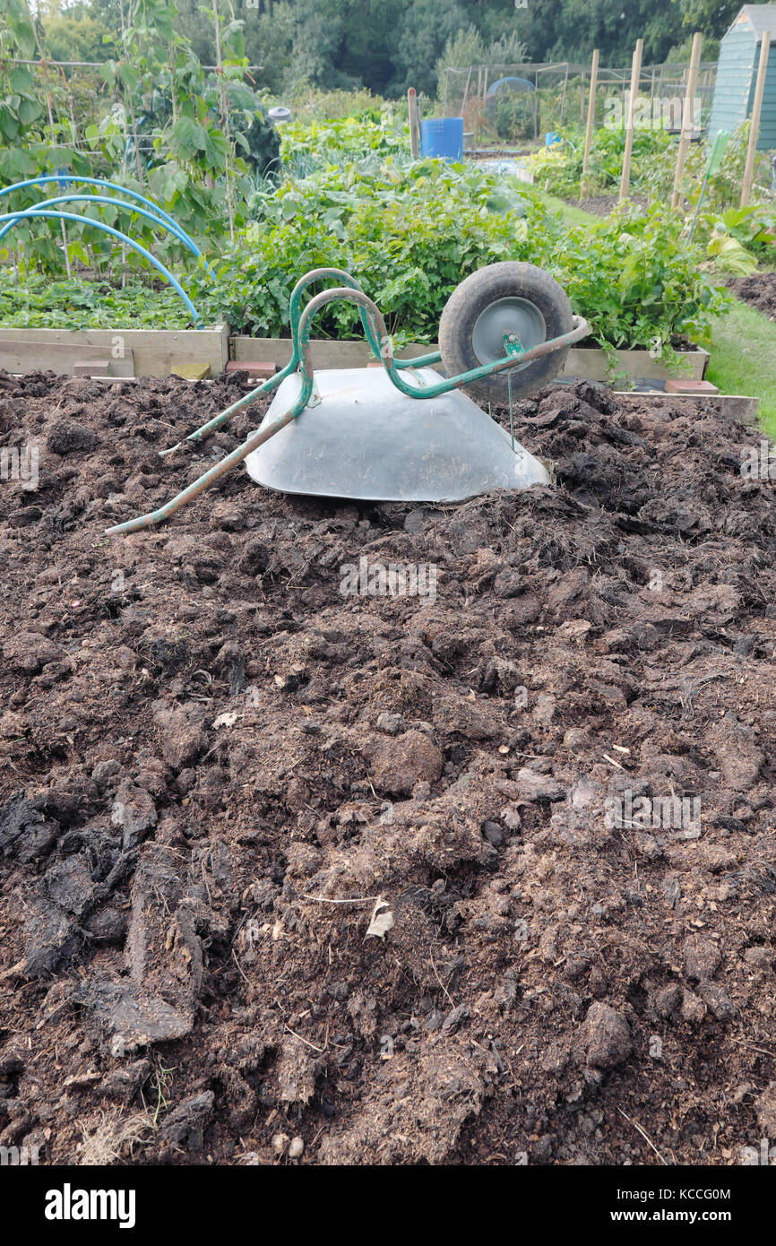 autumn manure ready to be dug in on an allotment Stock Photo Alamy