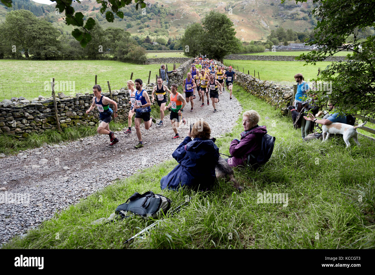 The start of the fell race, Borrowdale Shepherds Meet, Rosthwaite, Keswick, Cumbria, UK Stock Photo