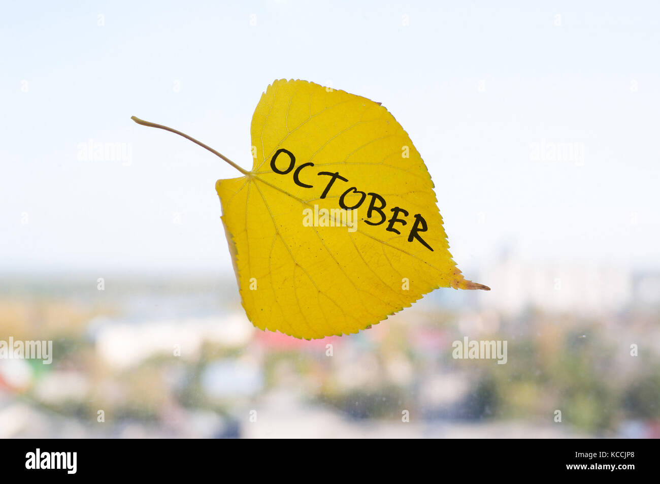 Yellow leaf with inscription OCTOBER on the window on the background of diffuse dull city. symbol of October is autumn. Abstraction of autumn october Stock Photo