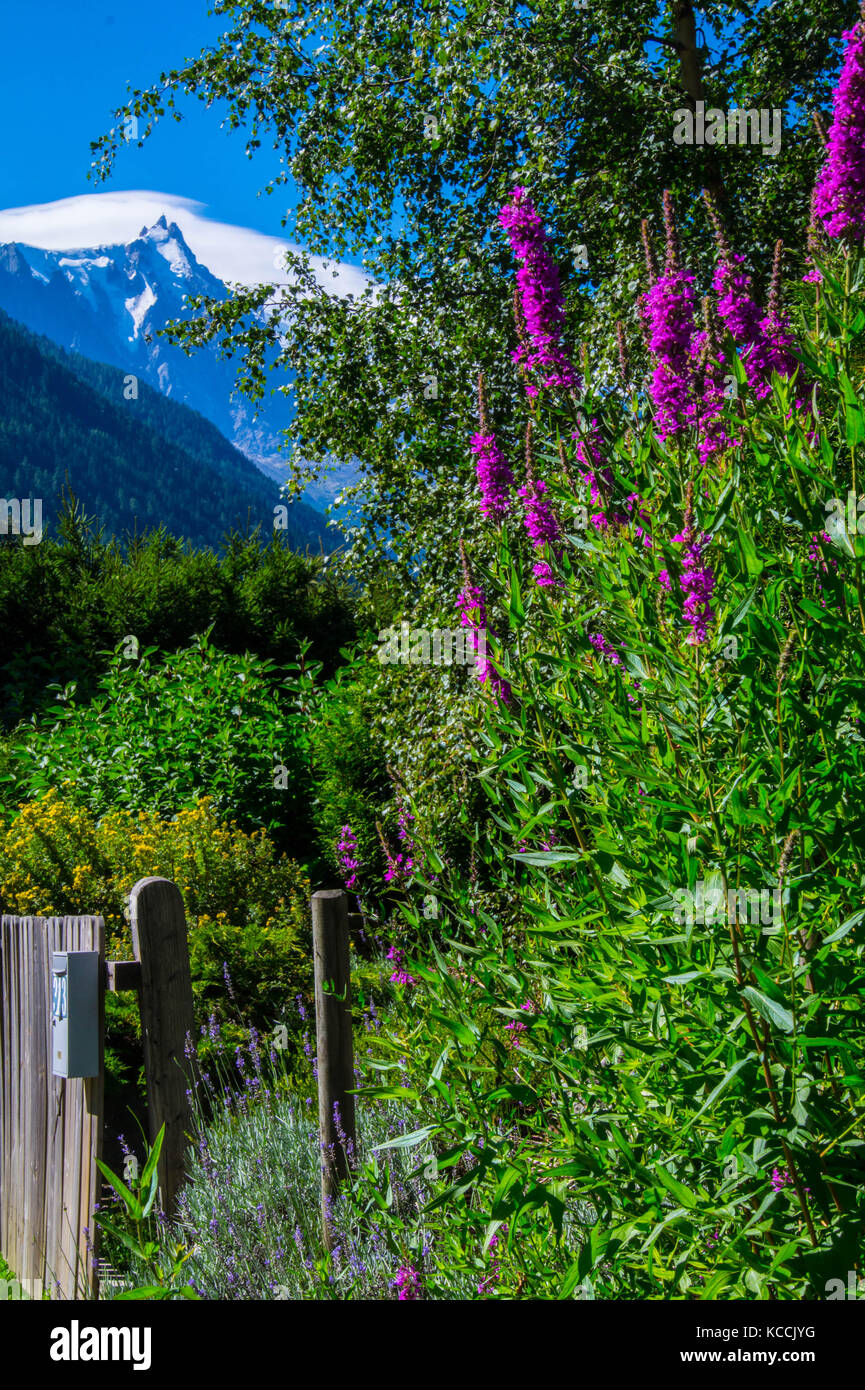 landscape of the French Alps Stock Photo - Alamy