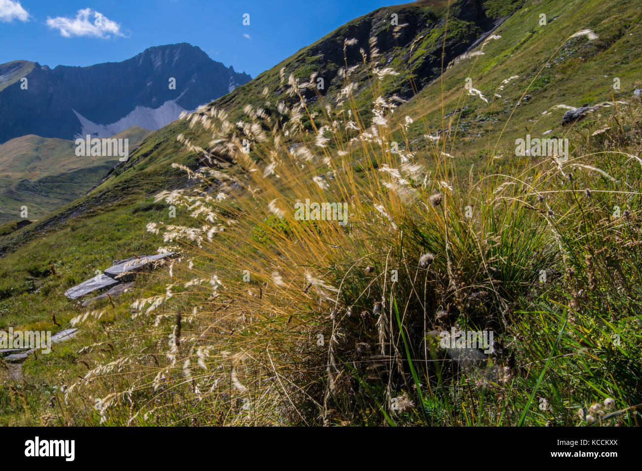 landscape of the Italian Alps Stock Photo - Alamy