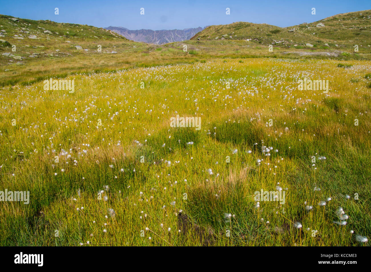 landscape of the French Alps Stock Photo - Alamy