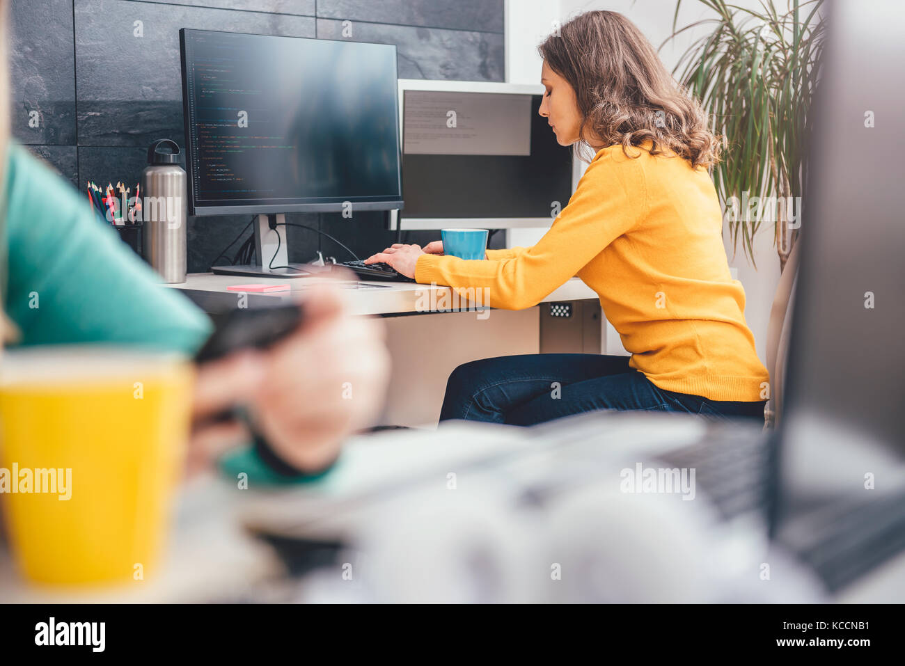 Woman Using Computer Work Girl programmer working laptop in hi-res stock photography and images ...