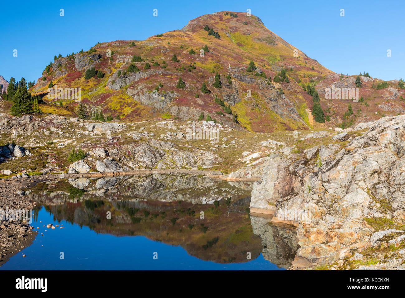 Fall colors on Yellow Aster Butte reflected in a basin tarn, Mount Baker Wilderness, North Cascades, Washington, USA. Stock Photo