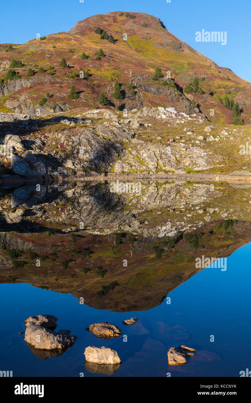 Fall colors on Yellow Aster Butte reflected in a basin tarn in the North Cascades, Mount Baker Wilderness, Washington, USA. Stock Photo