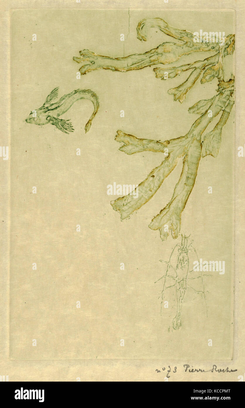 Pierre Roche Print Drawings and Prints, Print, Sea Algae (Algues marines), L'Estampe ...