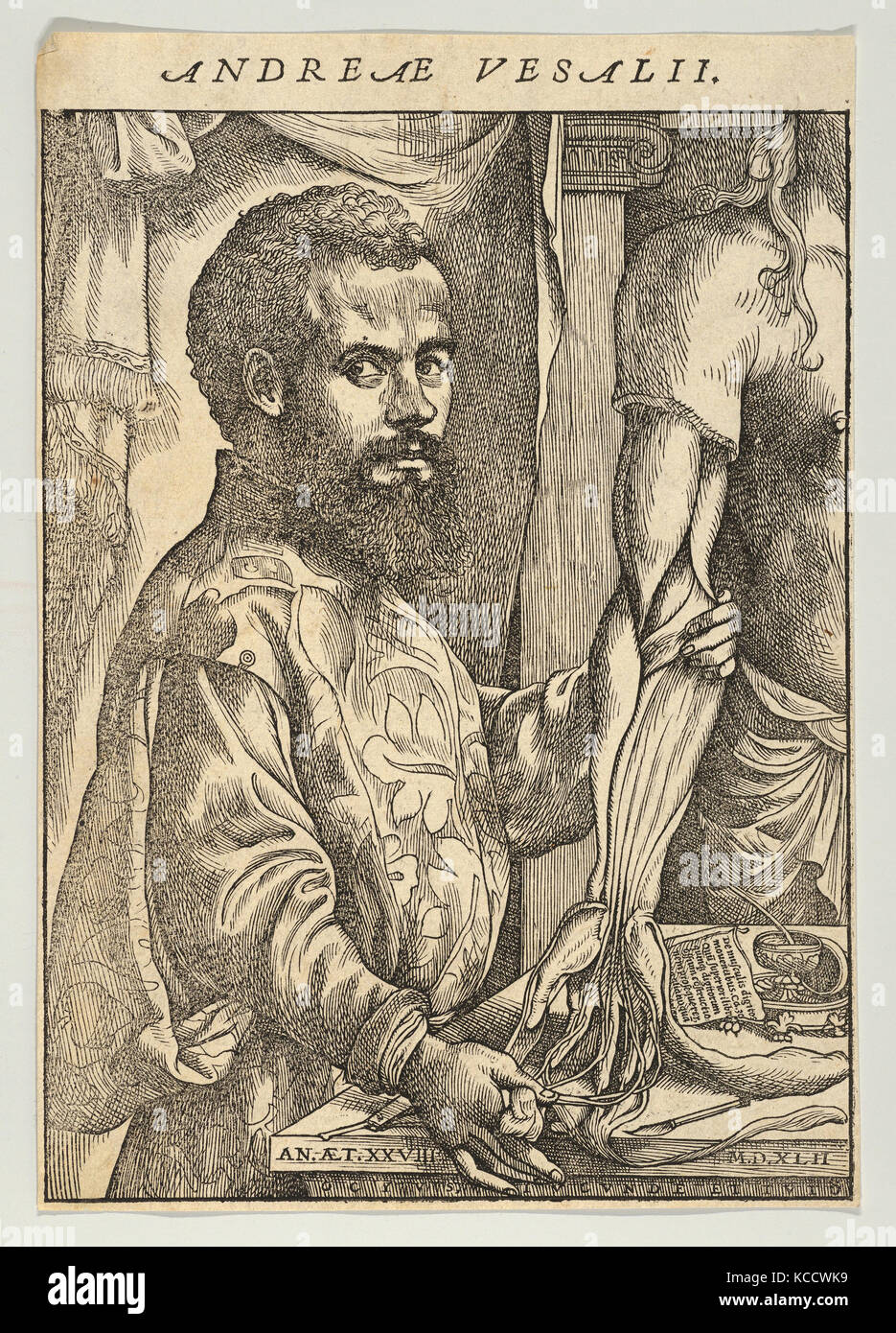 Drawings and Prints, Print, Portrait of Andreas Vesalius, half-length in profile standing in front of a table Stock Photo